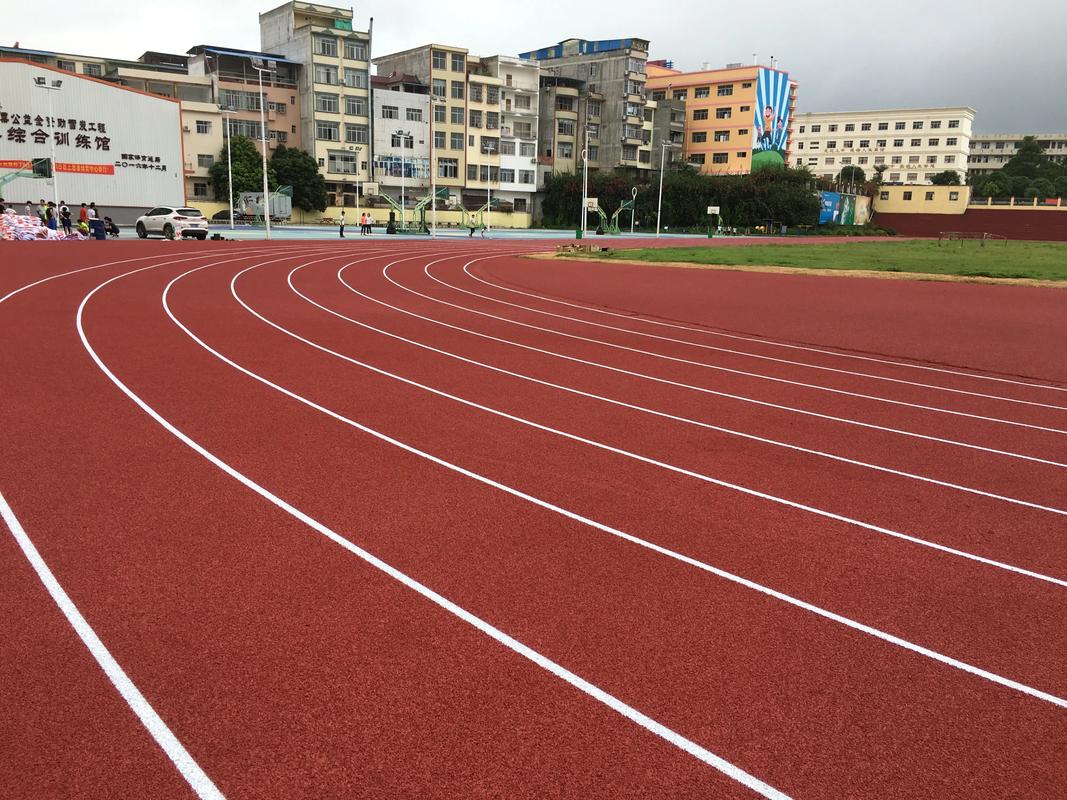 新乡市EPDM颗粒塑胶跑道材料 - 厂家